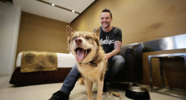 Dedicated Mobility Access & Pet Friendly Rooms Available